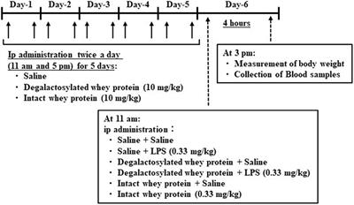 Degalactosylated Whey Protein Suppresses Inflammatory Responses Induced by Lipopolysaccharide in Mice